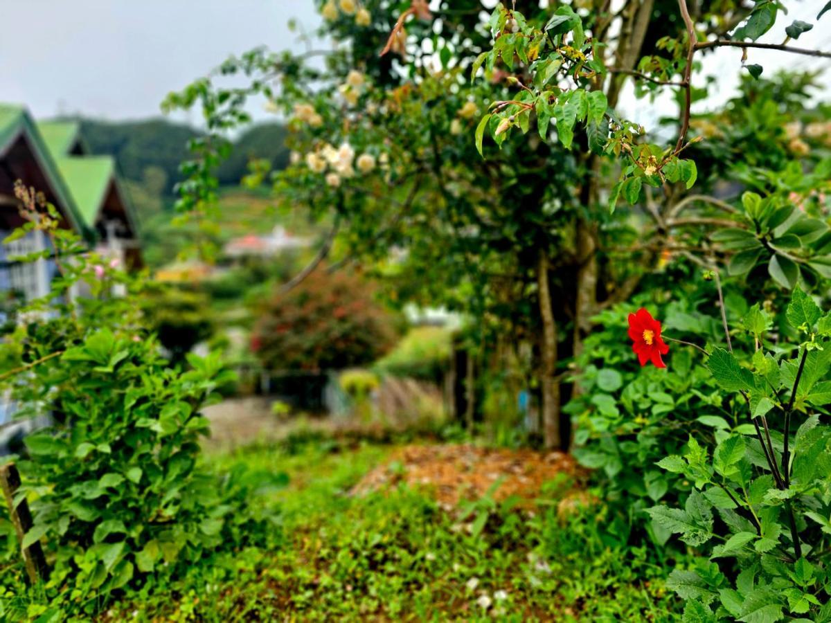 Haven Chalet Nuwara Eliya Exterior foto